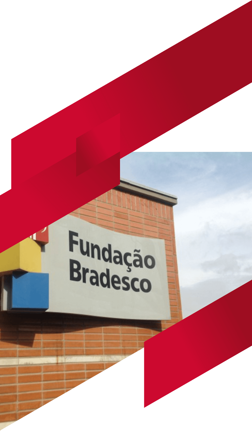 Imagem Fundação Bradesco